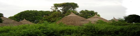 village village